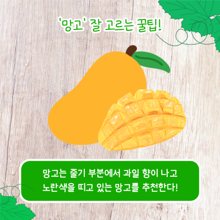 좋은 과일 고르는 꿀팁 (카드뉴스)