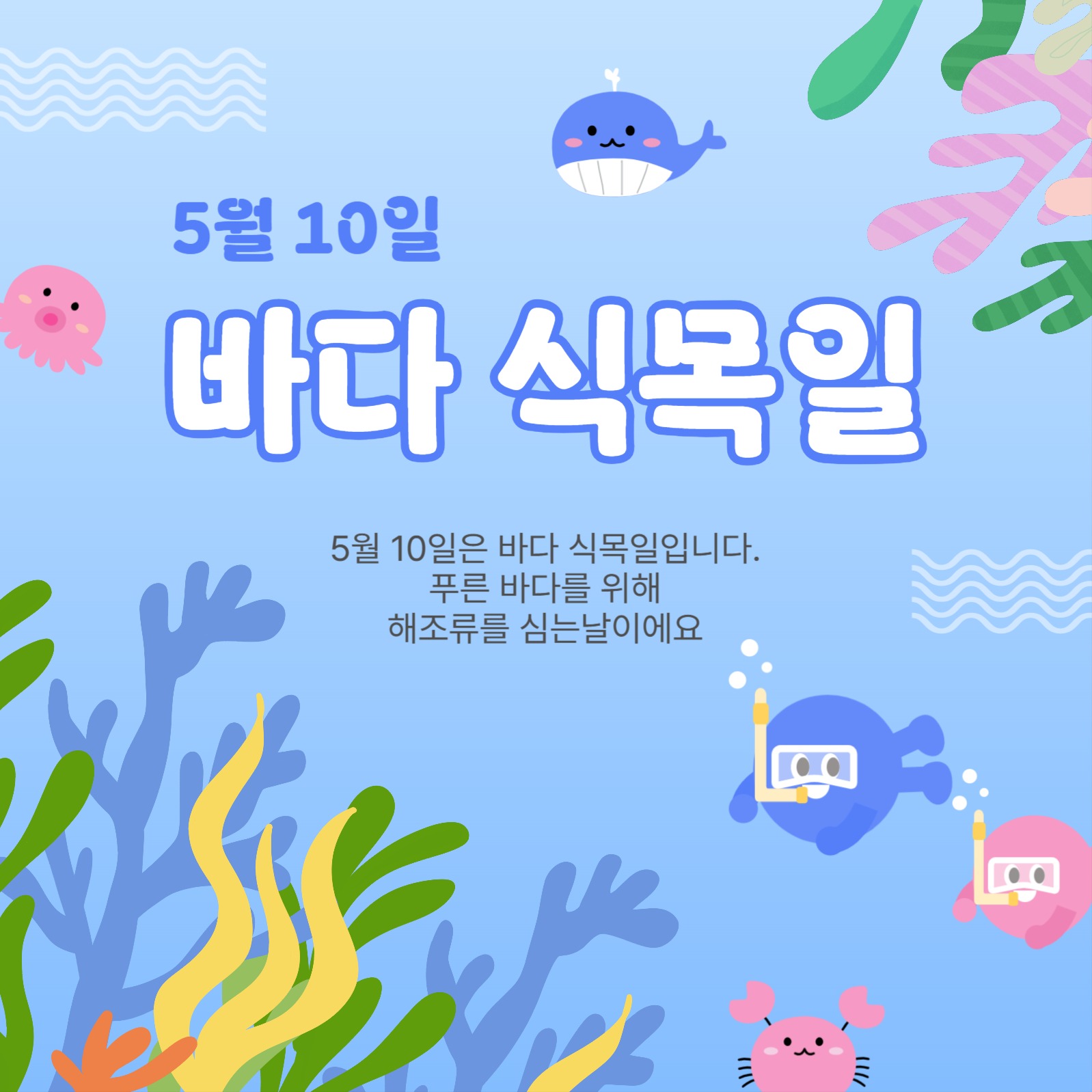 5월10일바다식목일