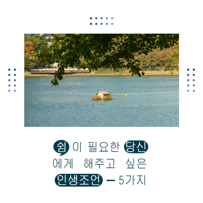 인생조언 다섯가지