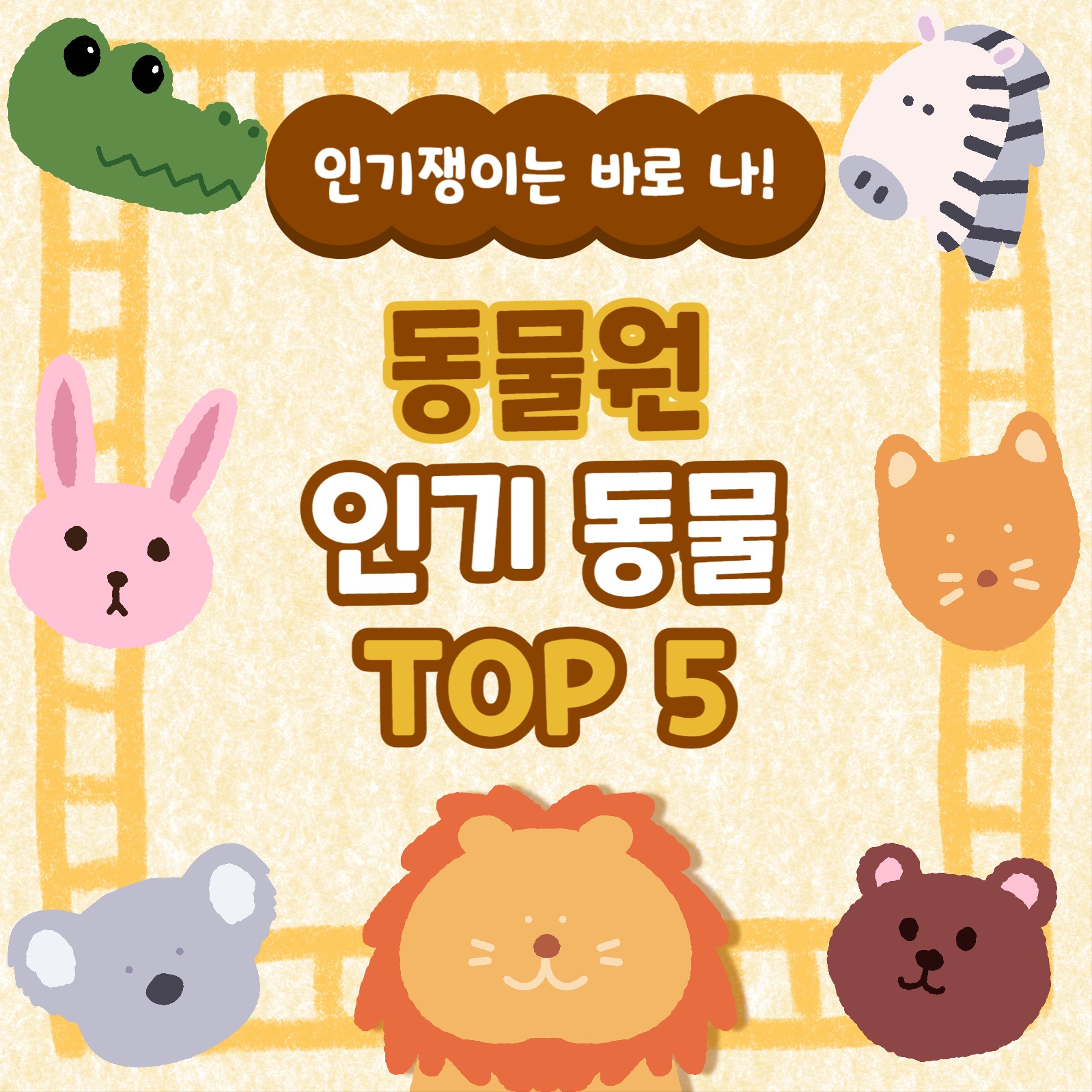 동물 인기순위 카드뉴스