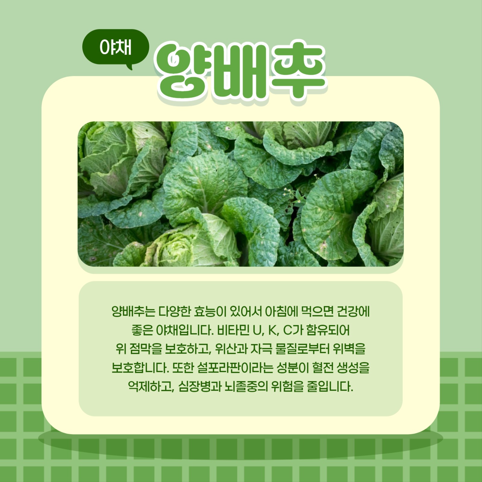 아침에 먹은 과일 야채