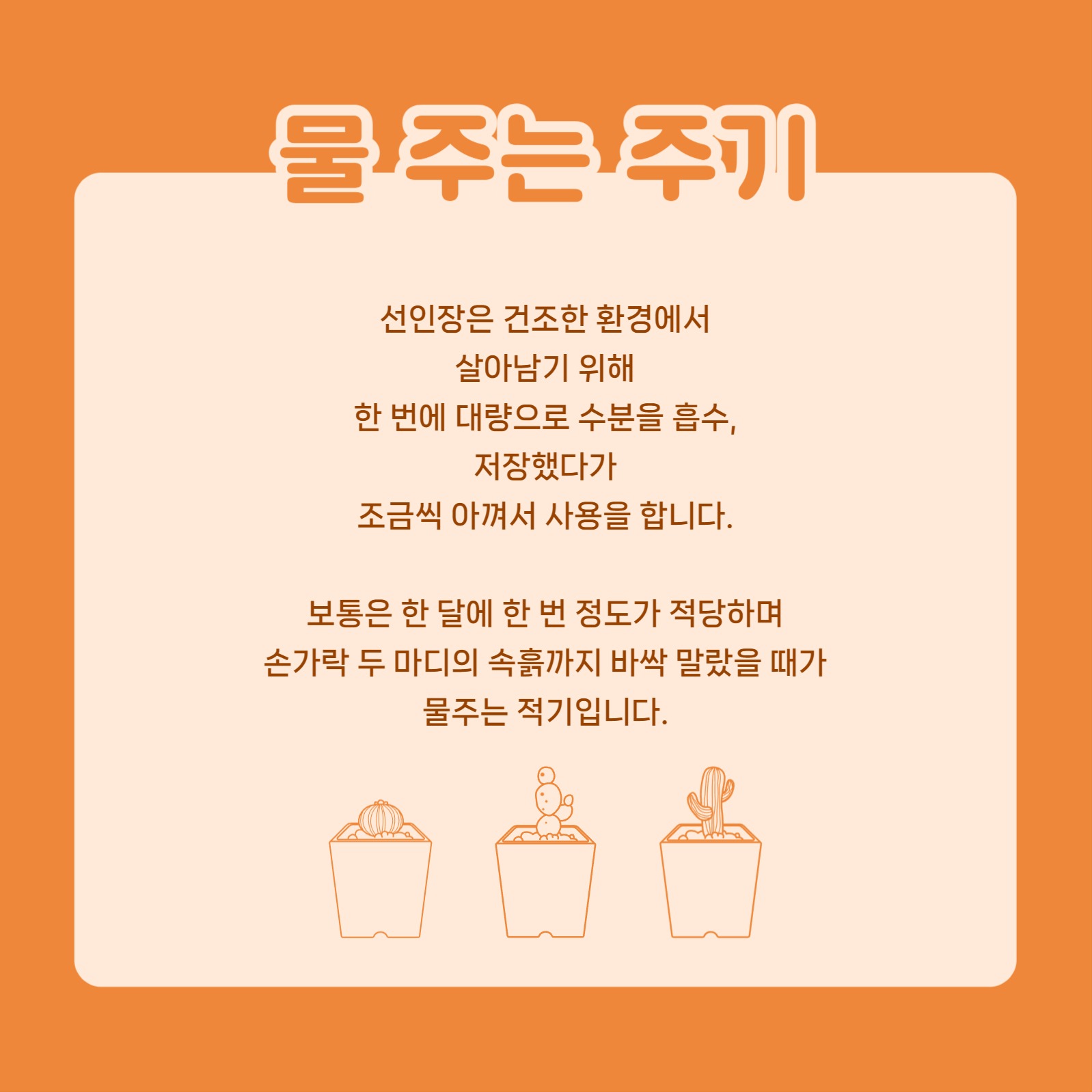 선인장 키우기 카드뉴스