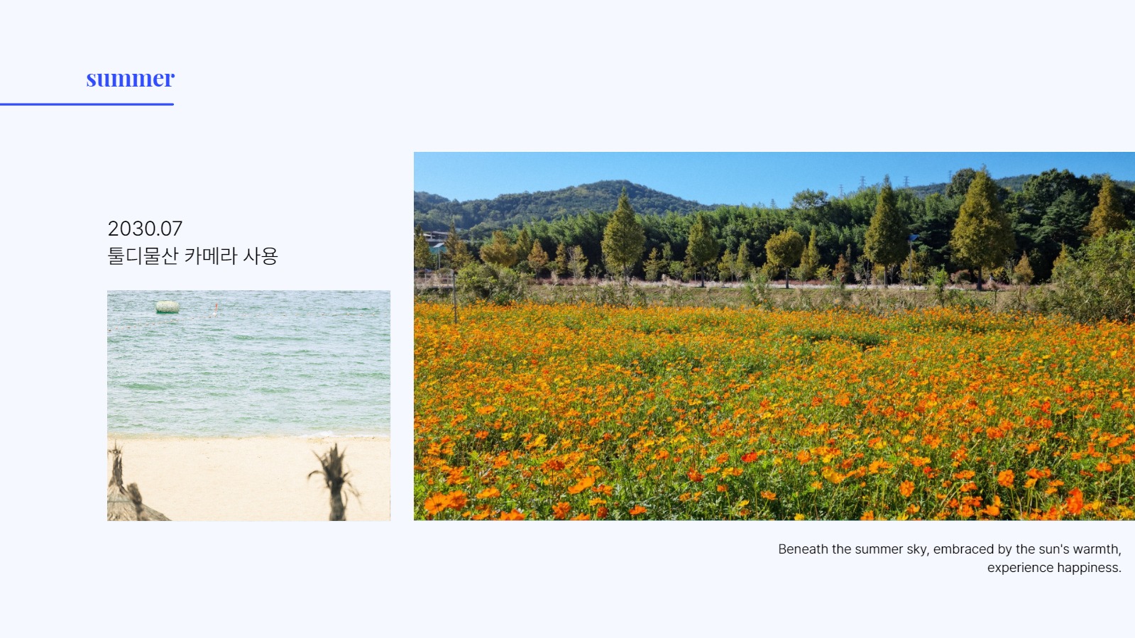 디자이너 포트폴리오