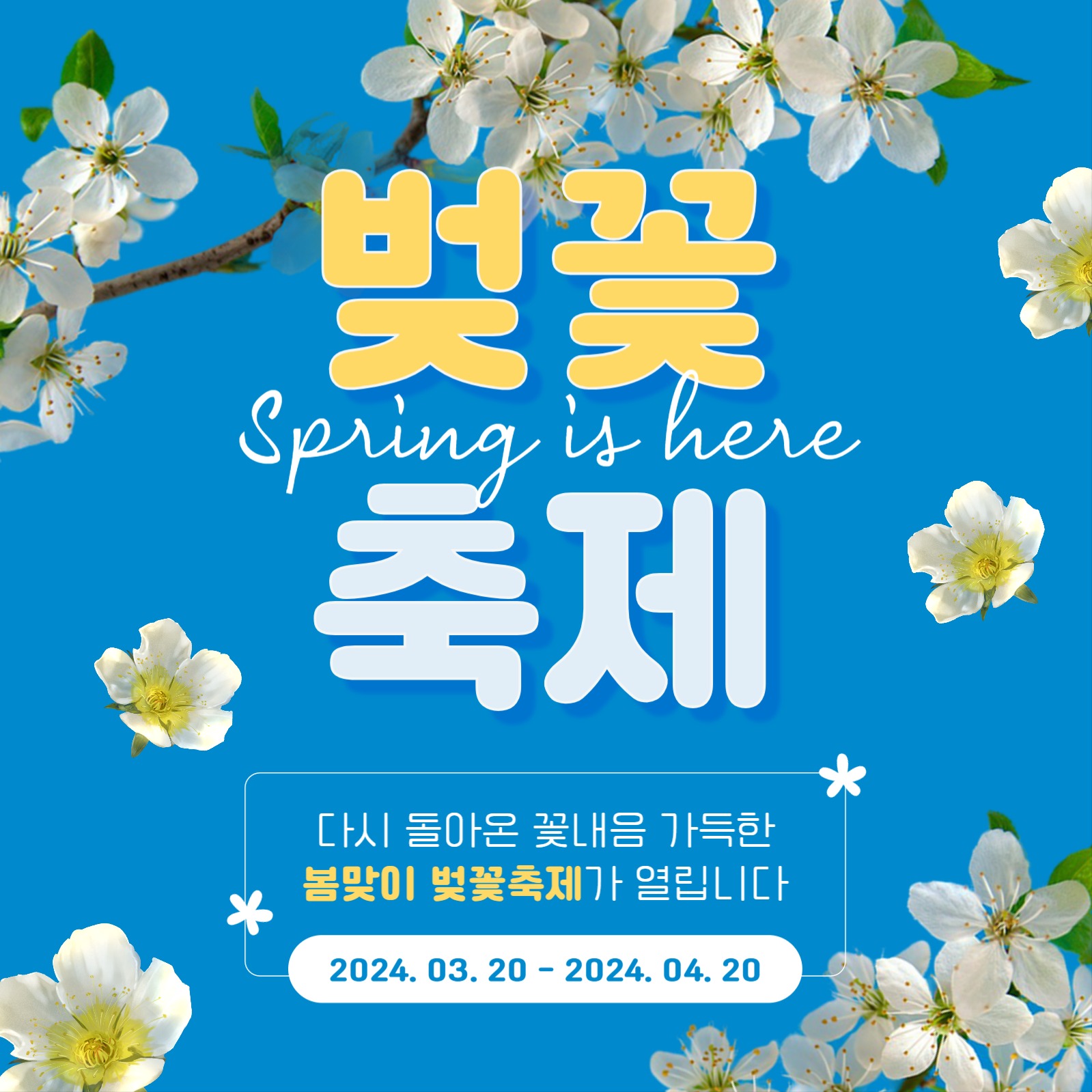 벚꽃축제