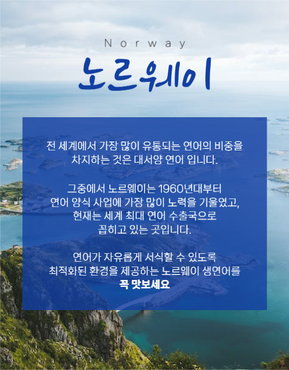 생연어 상세페이지
