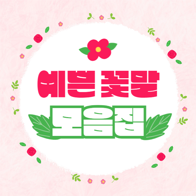 예쁜 꽃말 모음집 (인스타)