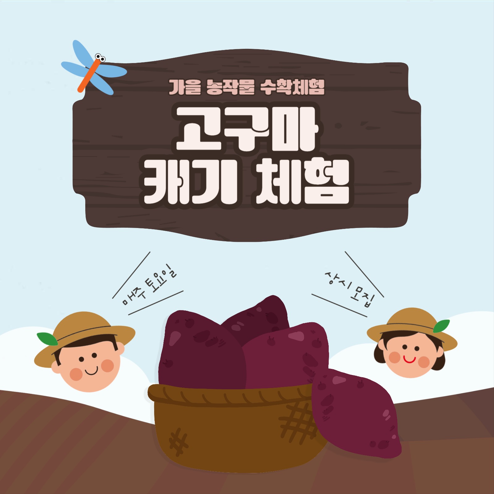 가을 농작물 고구마 수확 체험 안내