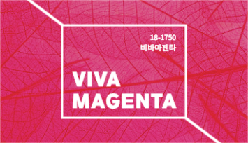 VIVA MAGENTA 명함
