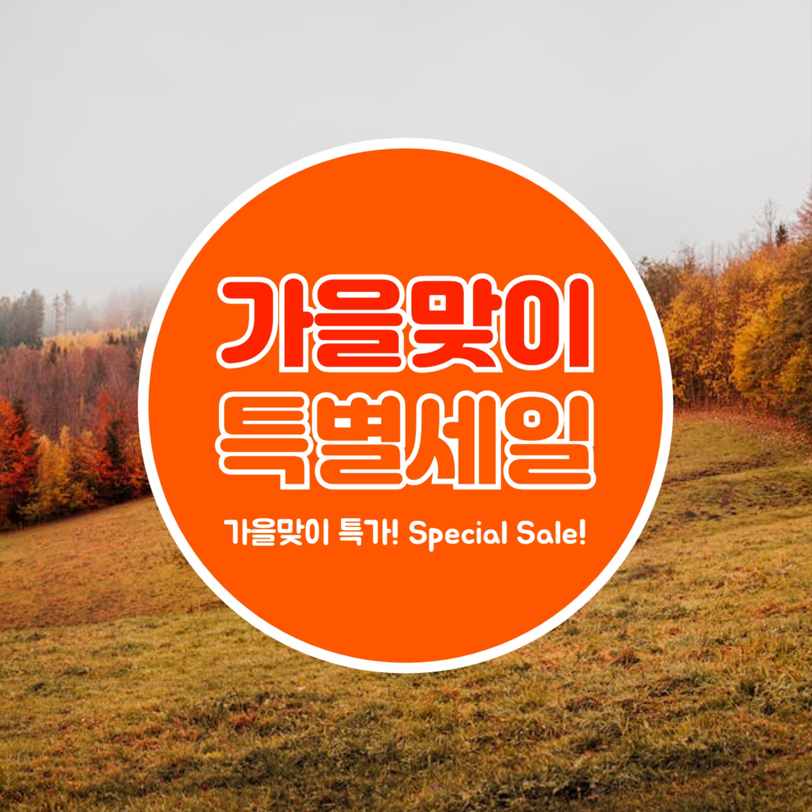 가을맞이 특별할인 (카드뉴스)