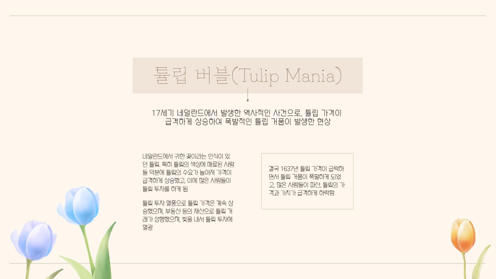 튤립 테마 프레젠테이션