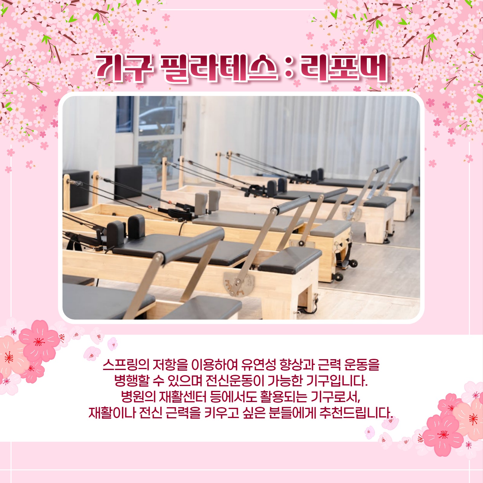 봄맞이 필라테스 카드뉴스