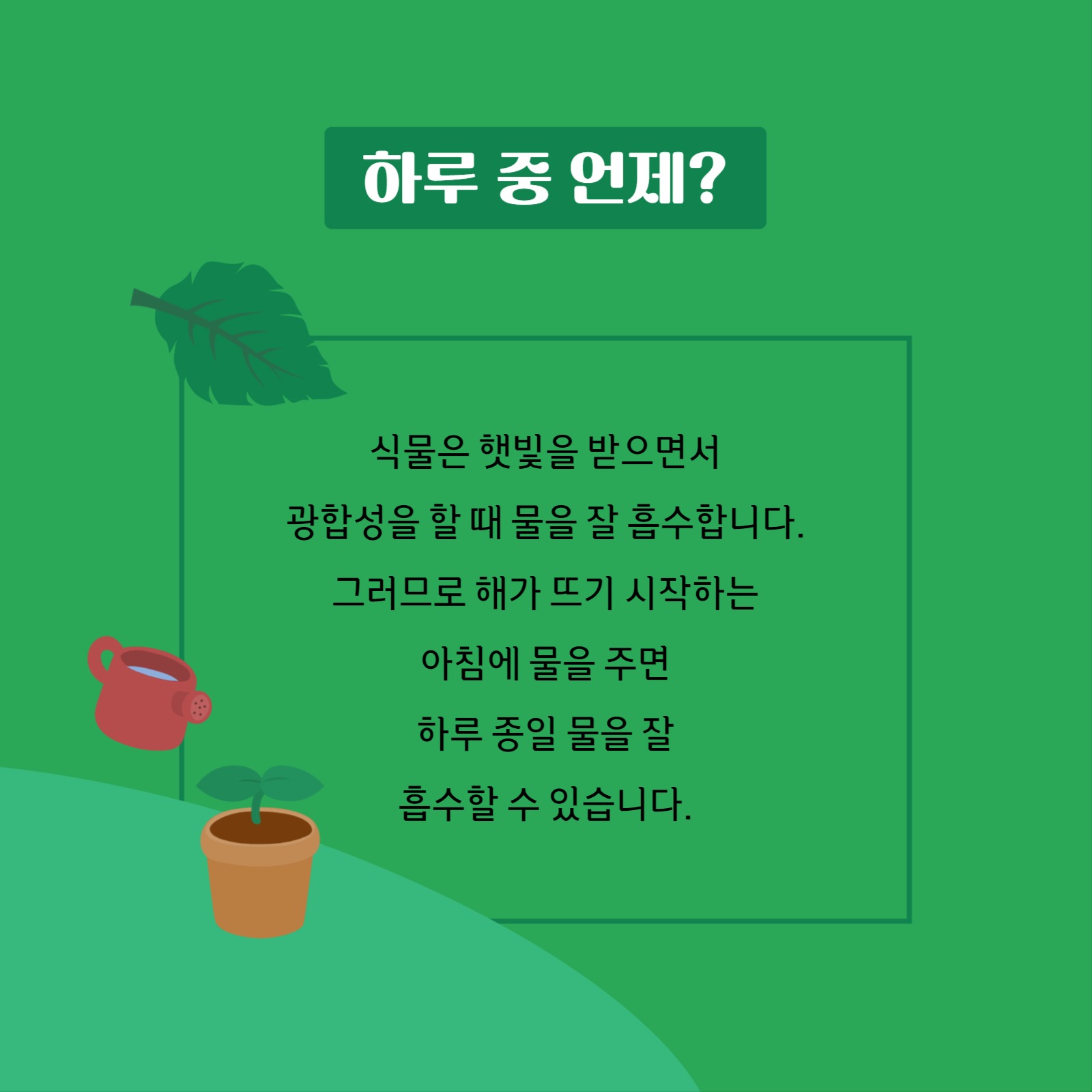 정원 가꾸기 물주기편 카드뉴스