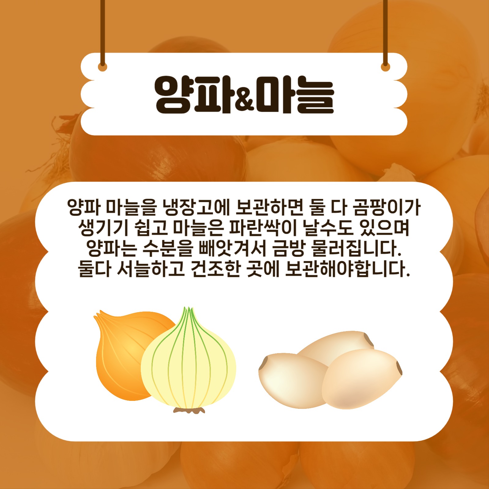 냉장고에넣으면안되는음식