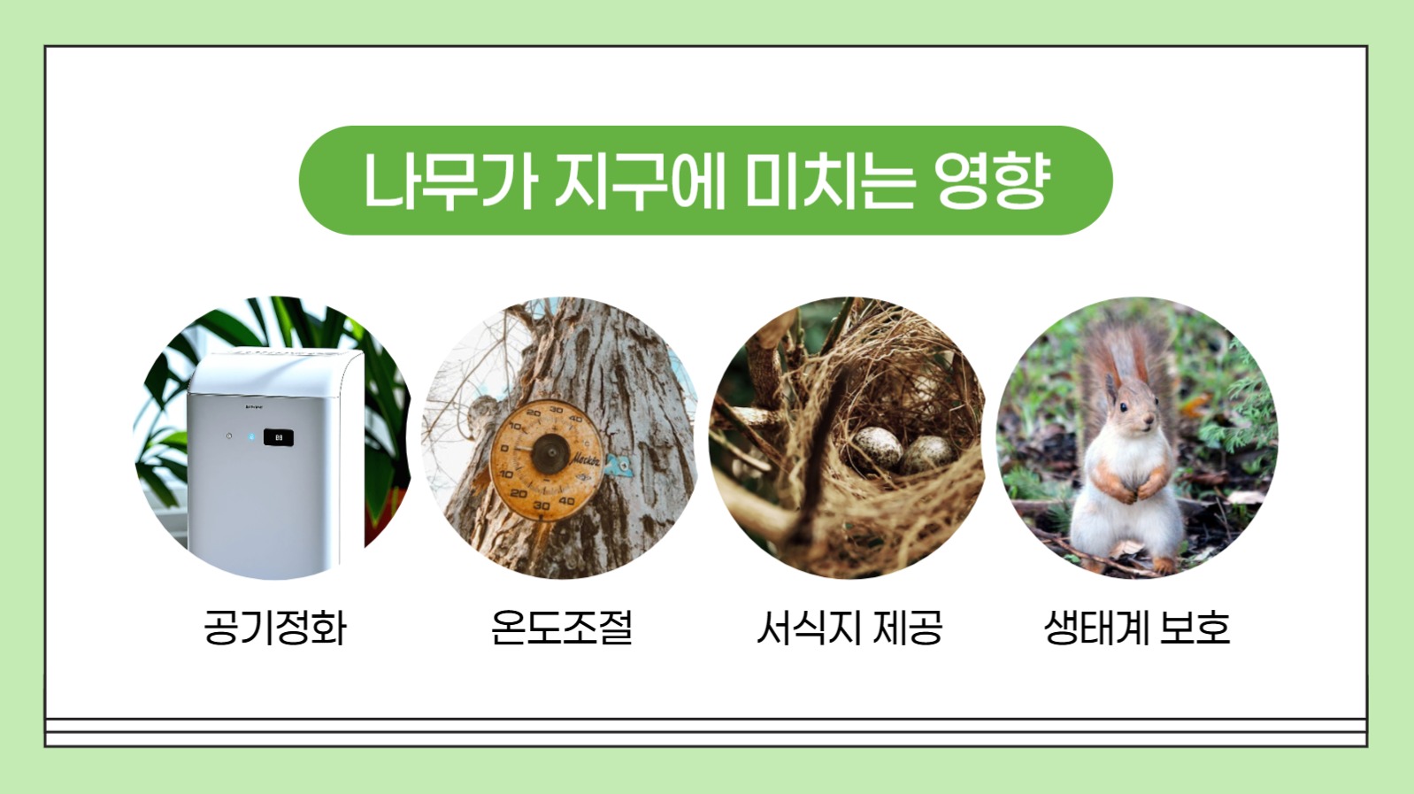 식목일 교육 프레젠테이션