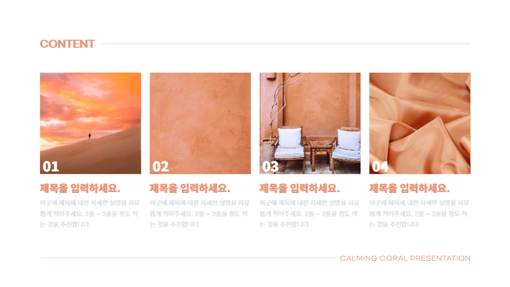 여유로운 카밍 코랄