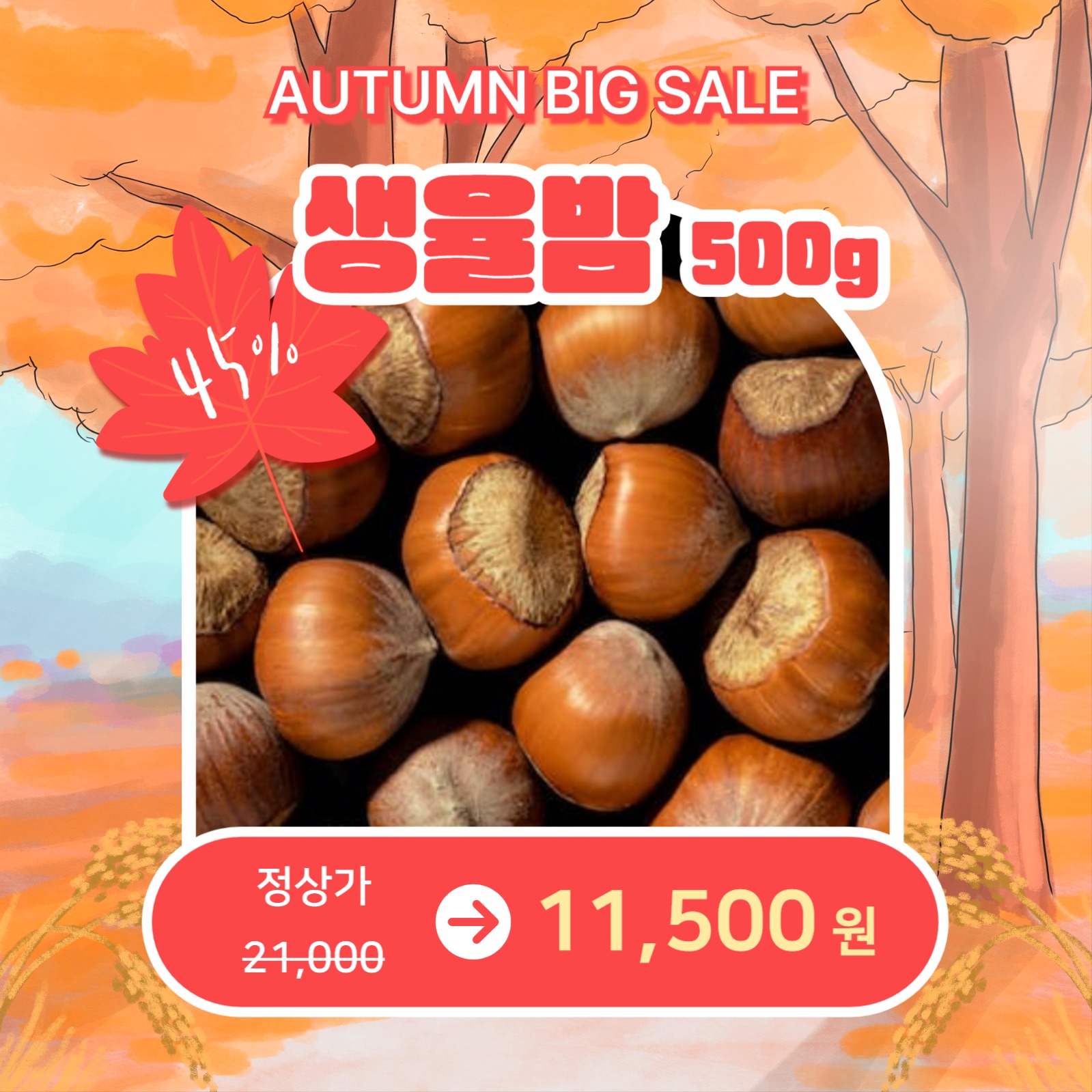 가을맞이 특별할인 (카드뉴스)