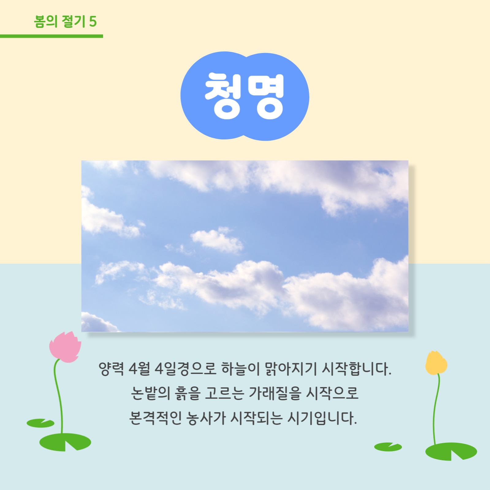봄의 절기 알아보기 카드뉴스