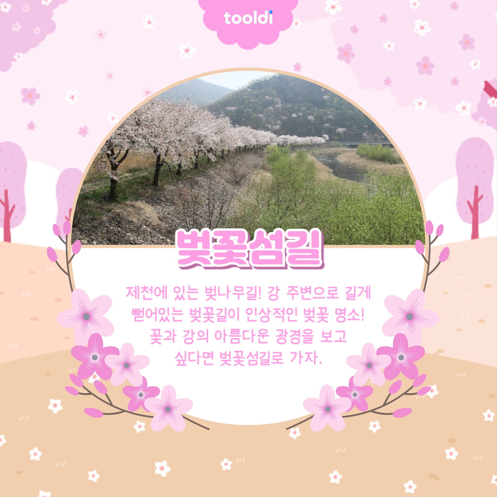 벚꽃 명소 알아보기 카드뉴스