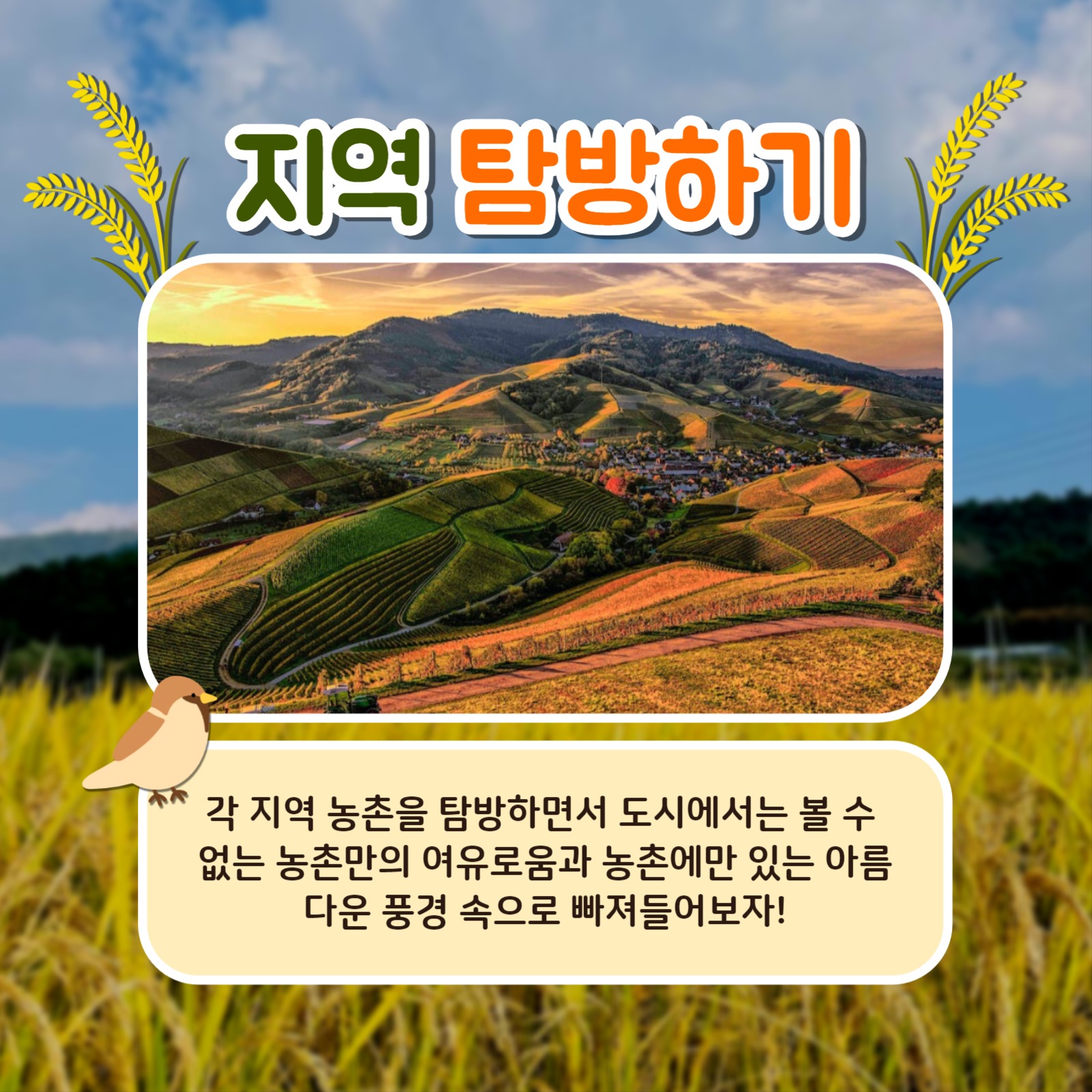 농촌에서 살아보기 카드뉴스