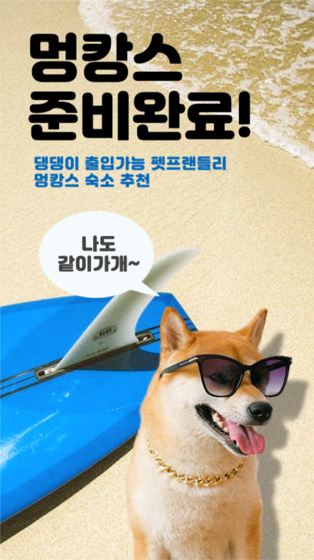 펫숙소 멍캉스 호캉스 펫숙소