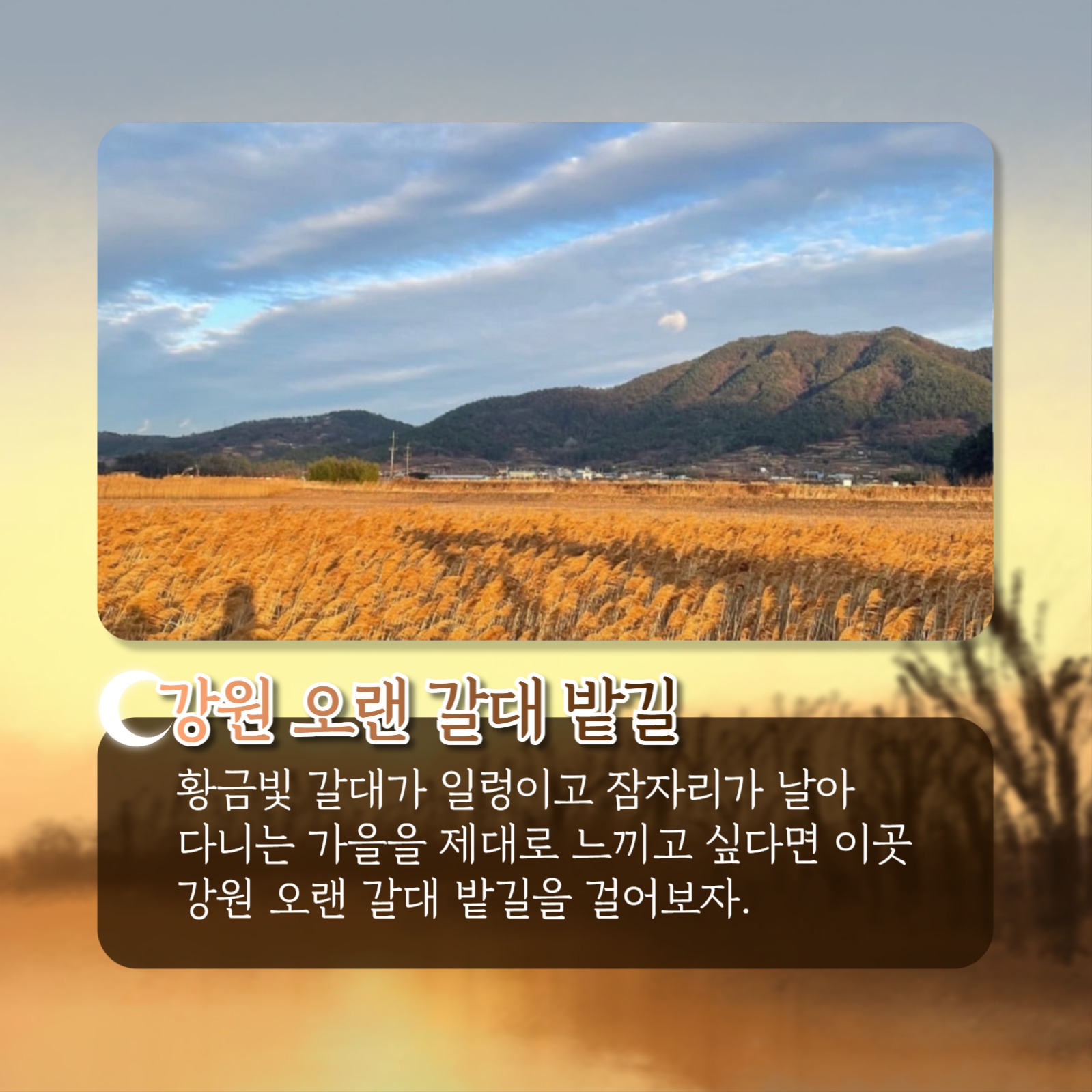 가을 산책 추천 코스 카드뉴스