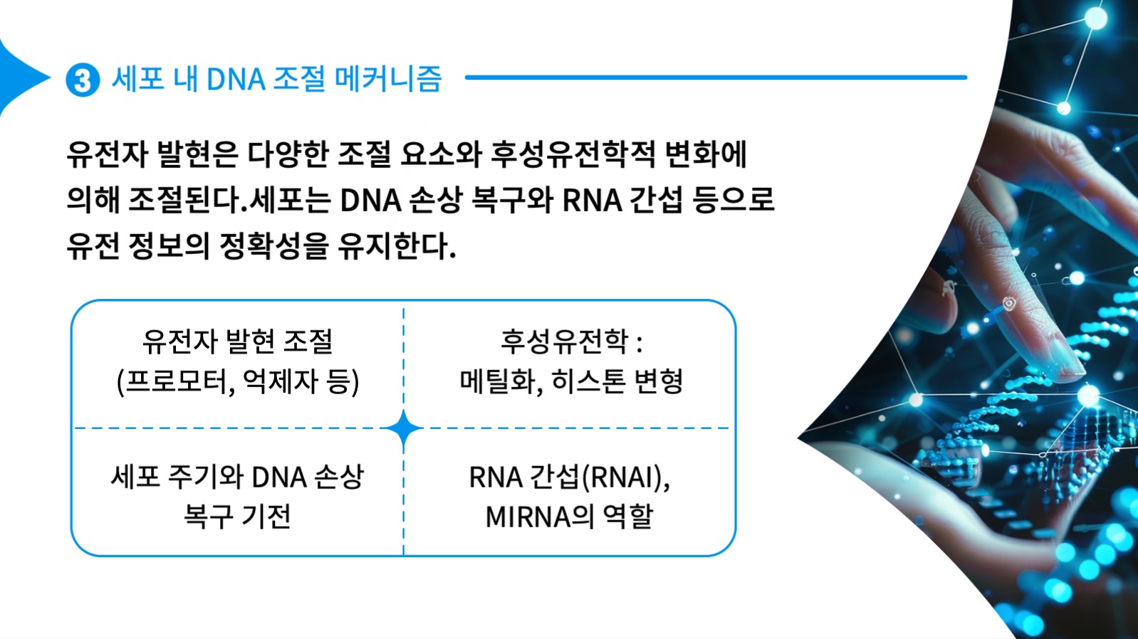논문발표자료 PPT