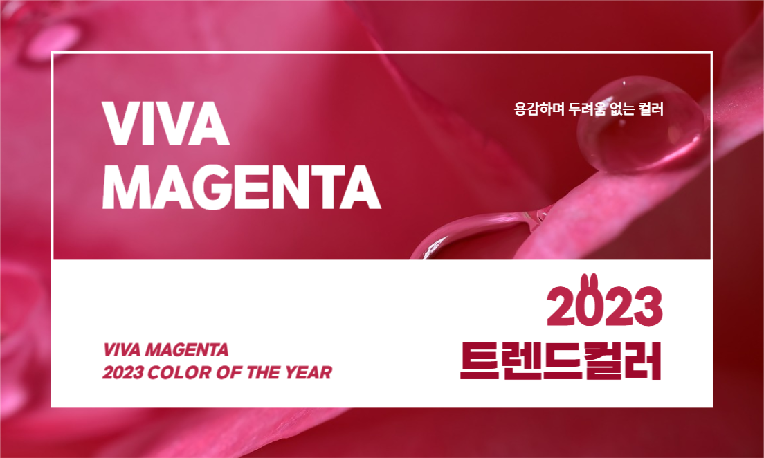 비바마젠타 썸네일