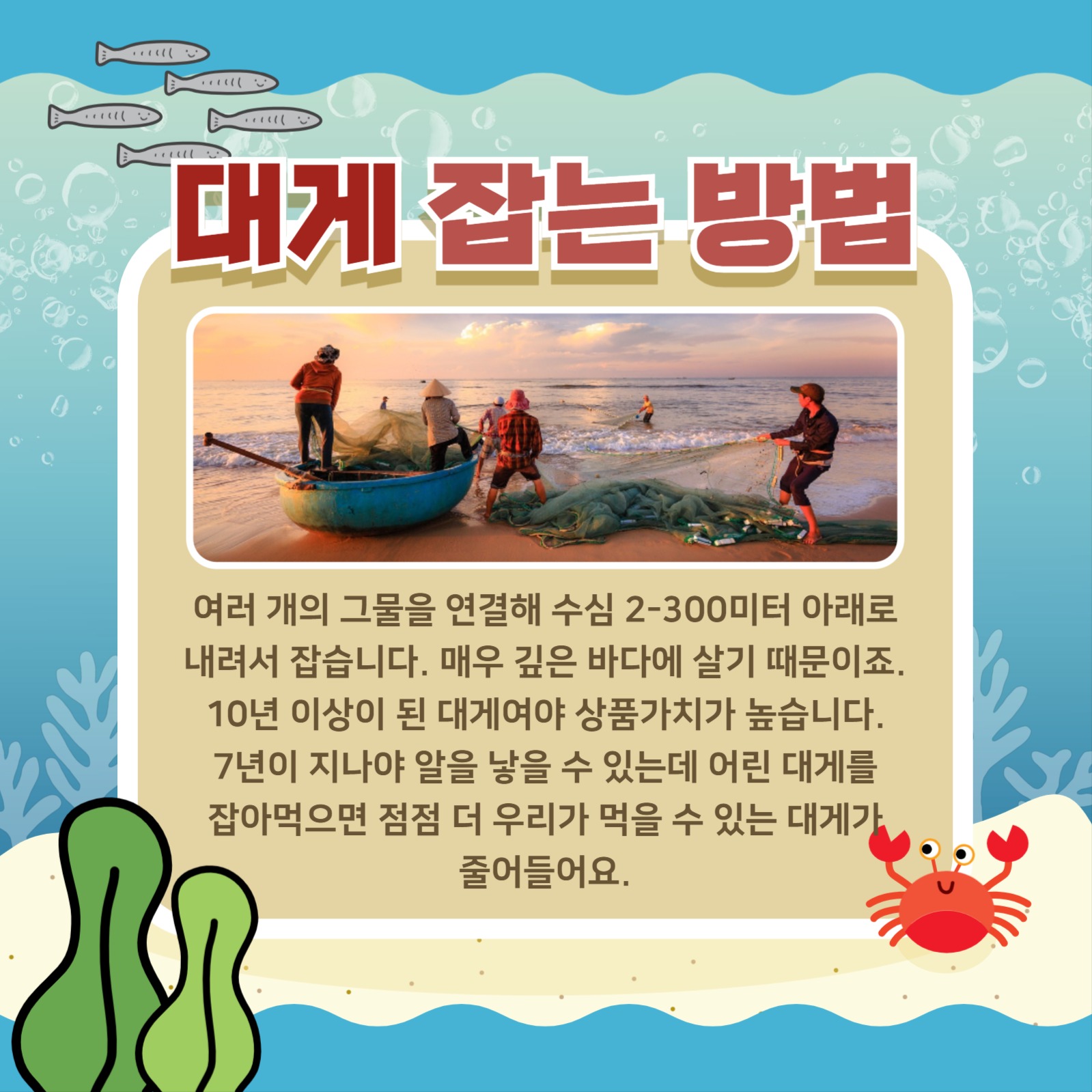 대게에 대해 알아보기