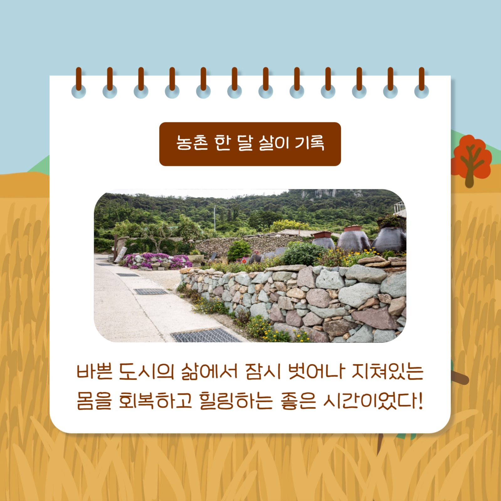 농촌살이 돌아보기 (카드뉴스)