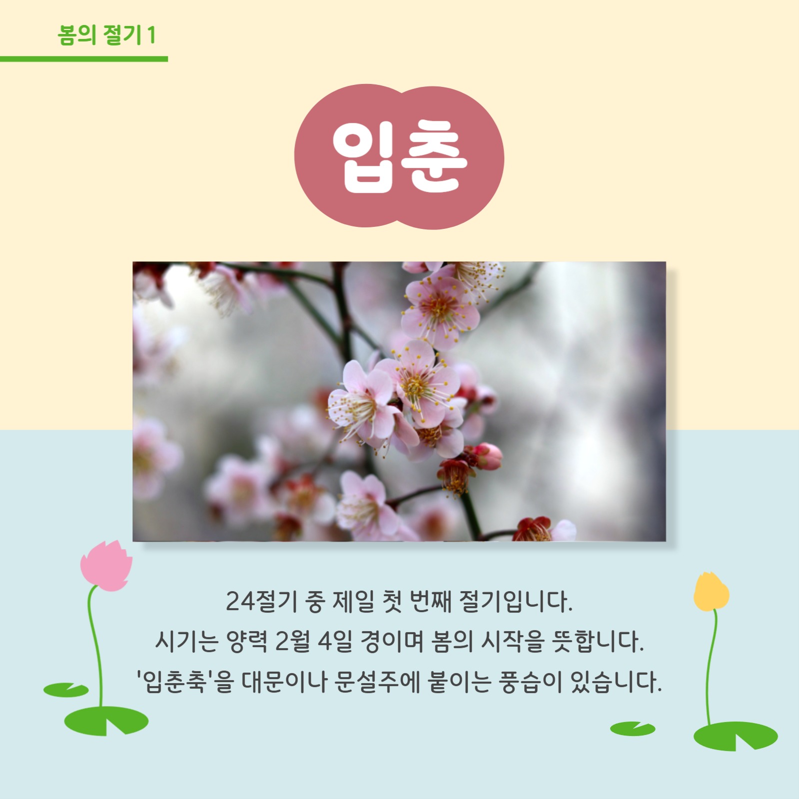 봄의 절기 알아보기 카드뉴스