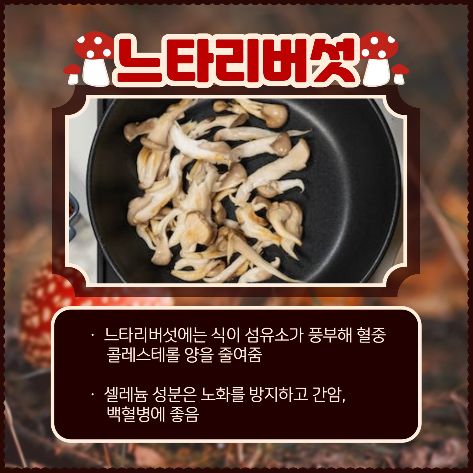 버섯의 종류와 효능 카드뉴스