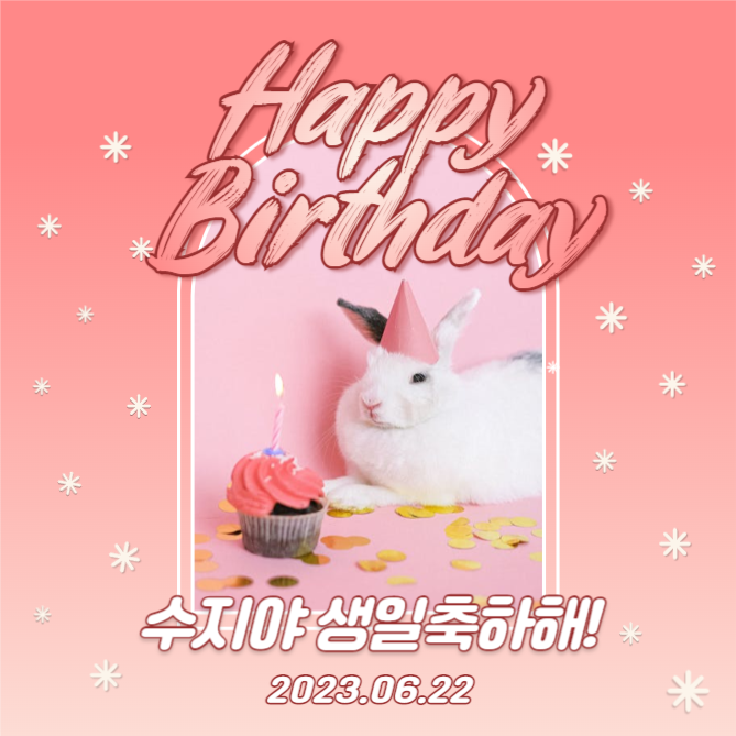 생일 축하 (인스타)