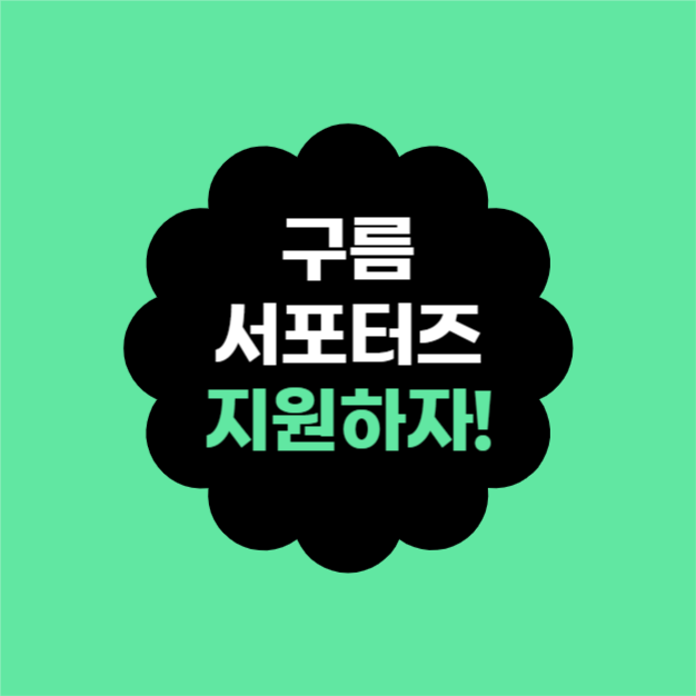 서포터즈 모집 (카드뉴스)