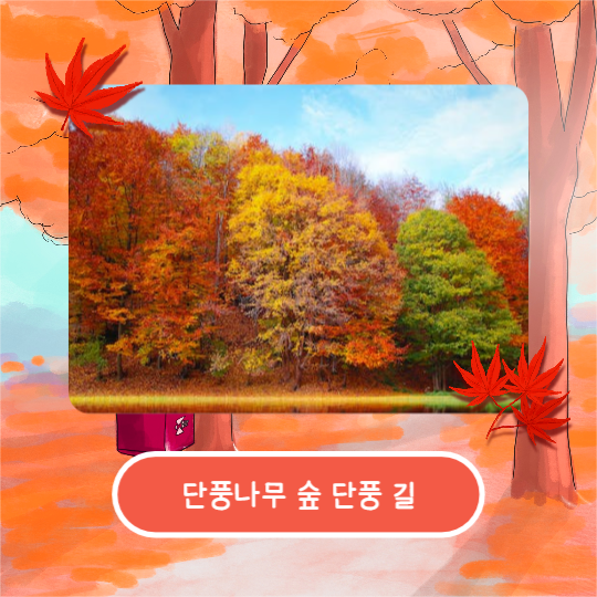 가을은 단풍여행 (카드뉴스)