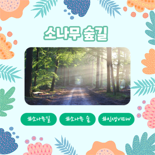 힐링여행 추천코스 (카드뉴스)