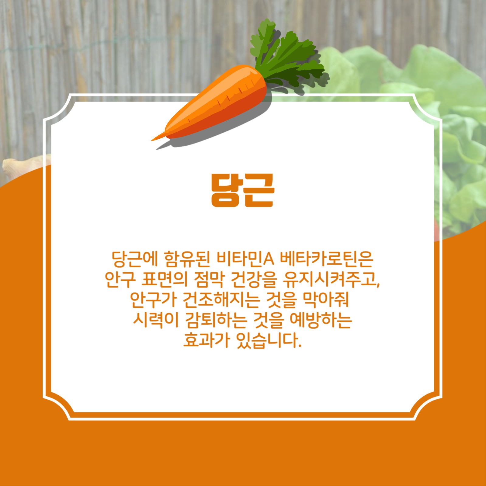 눈건강에좋은음식