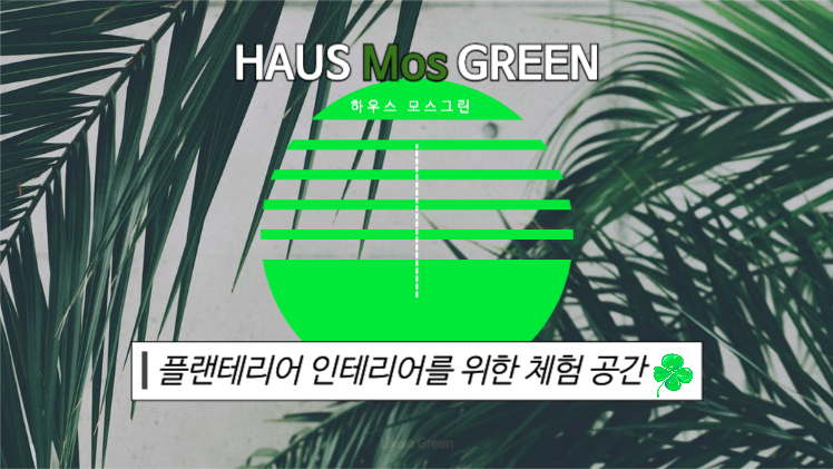 플랜테리어 인테리어 브랜딩 제안