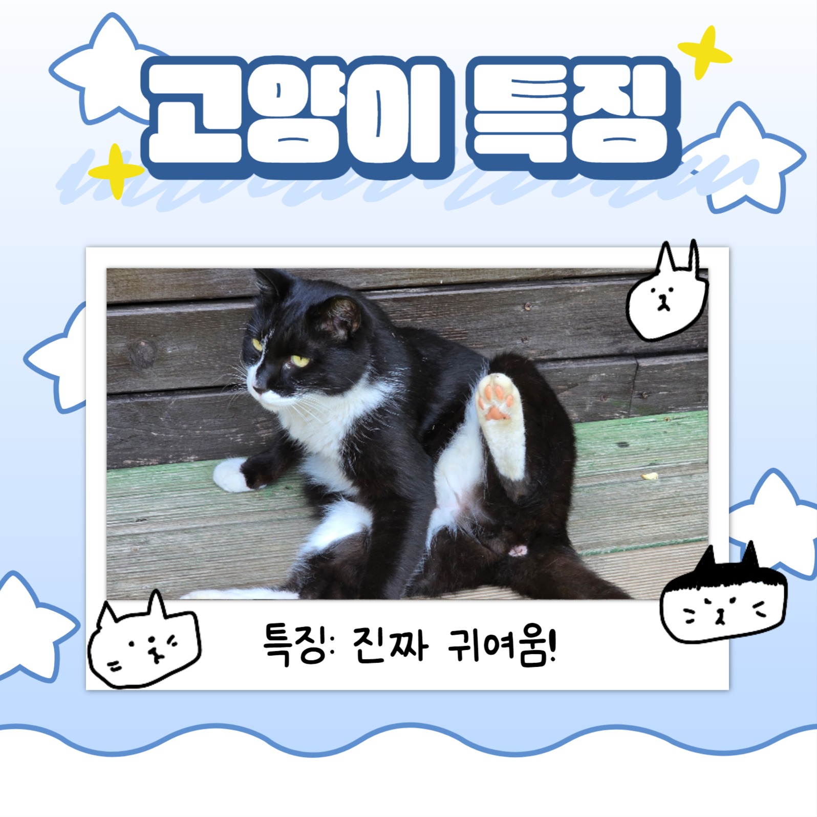 폴라로이드 사진 삽입하는 카드뉴스