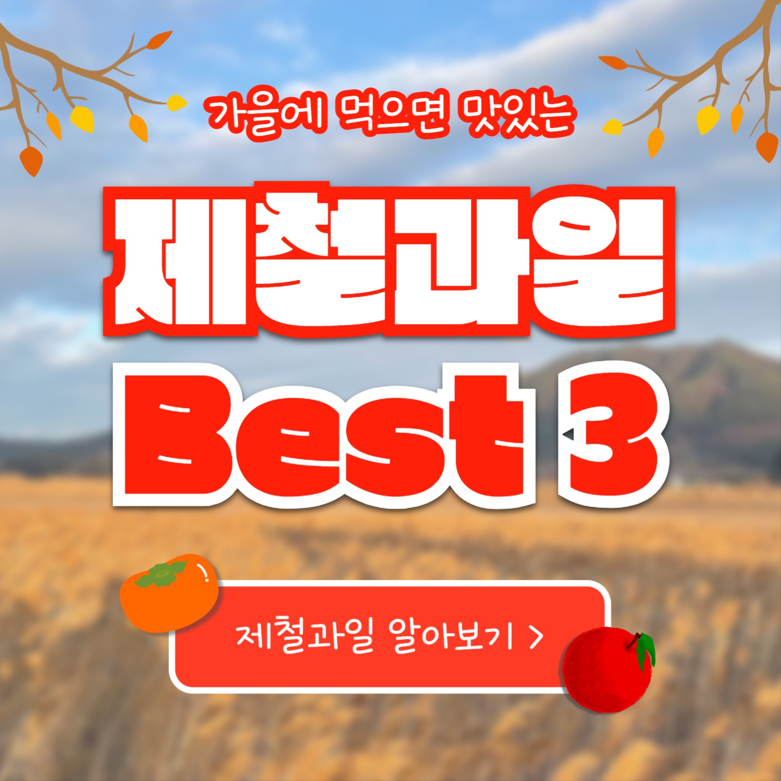 제철과일 Best 3 (카드뉴스)