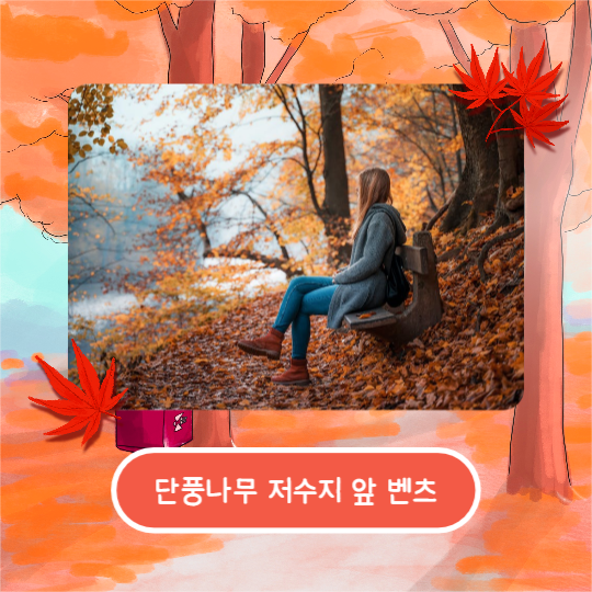 가을은 단풍여행 (카드뉴스)