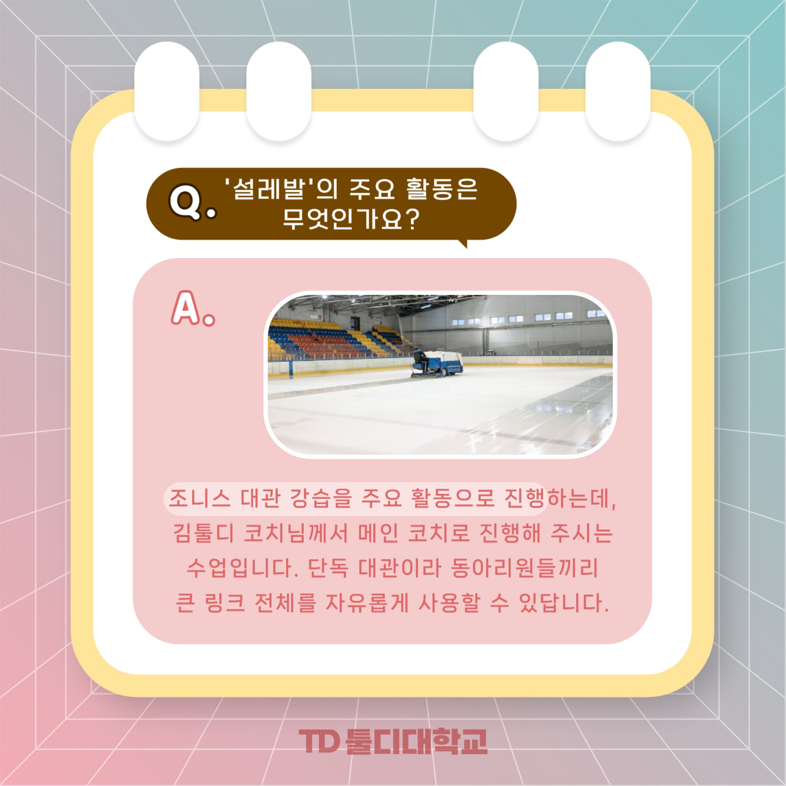 동아리 큐앤에이