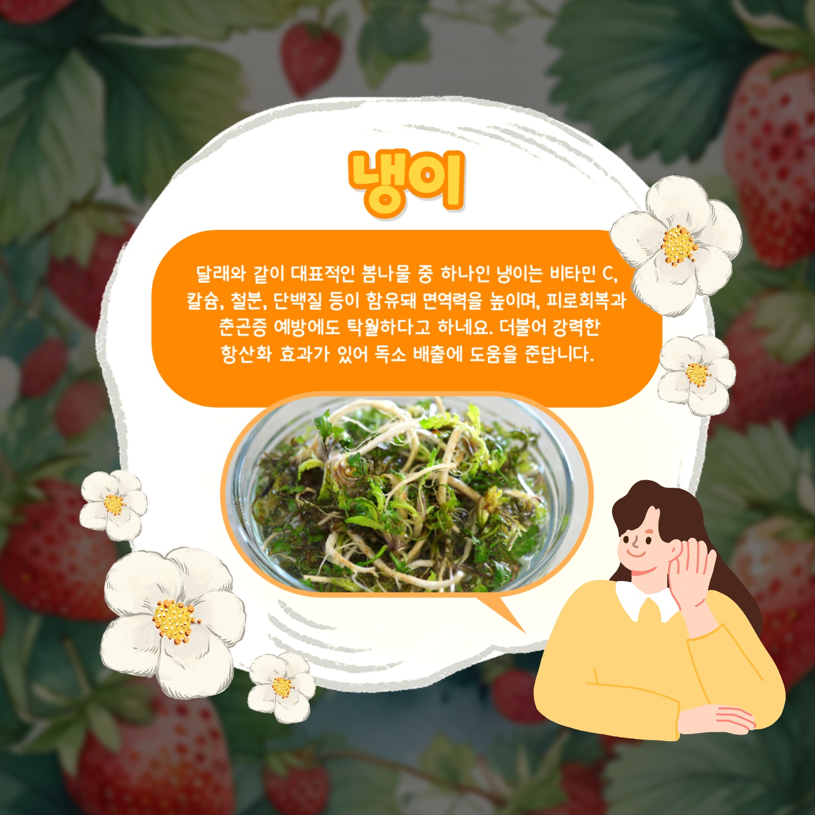 봄 제철 음식 카드뉴스