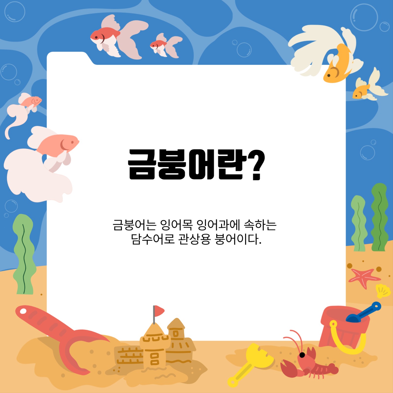금붕어 키우기 