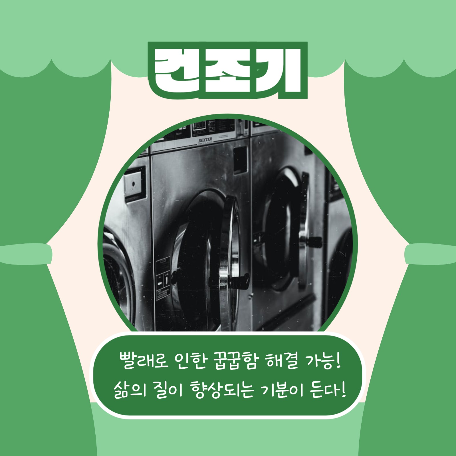 자취생 꿀템 모음 (카드뉴스)