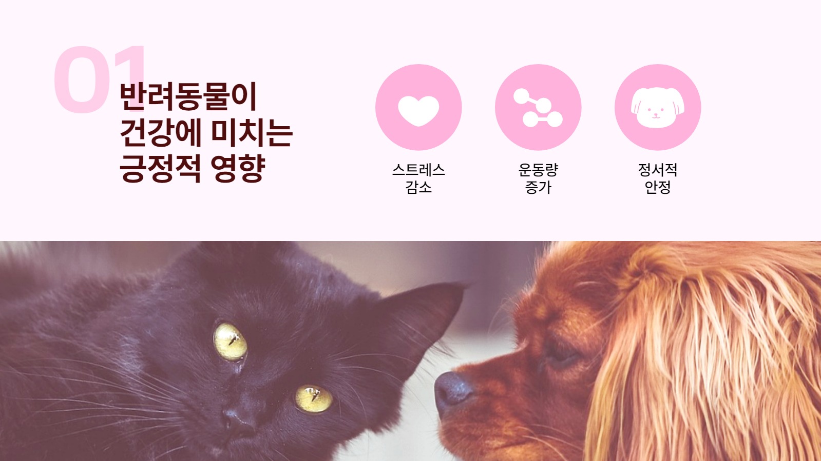 반려동물 양육의 장점