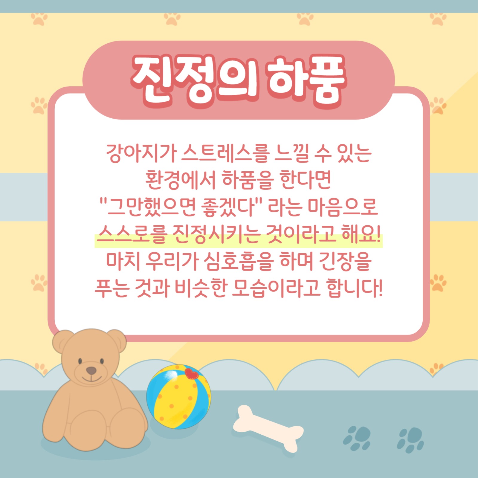 강아지 하품 알기