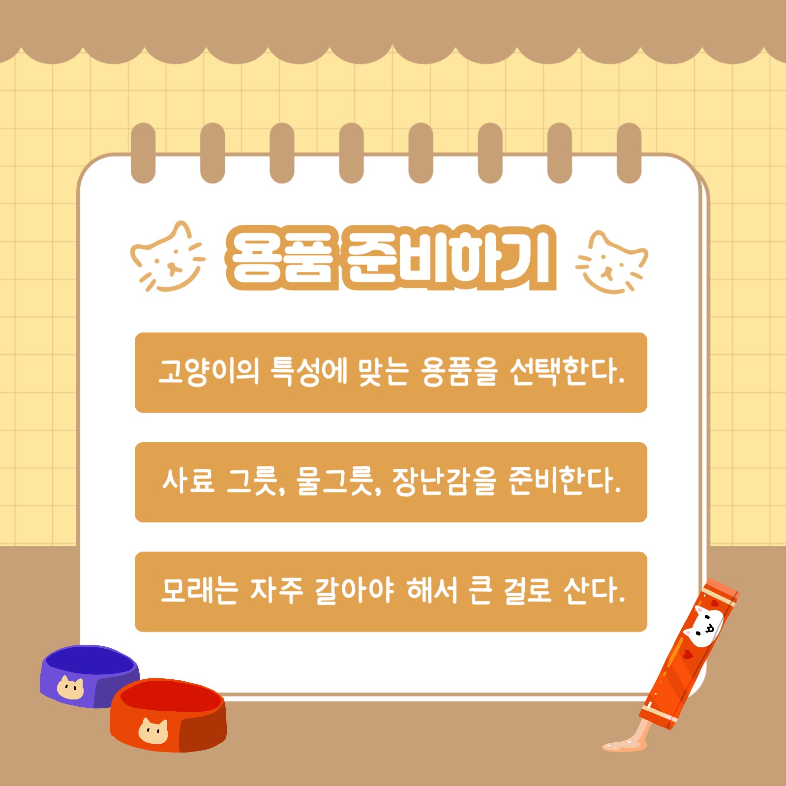 고양이 키우기 꿀팁 카드뉴스
