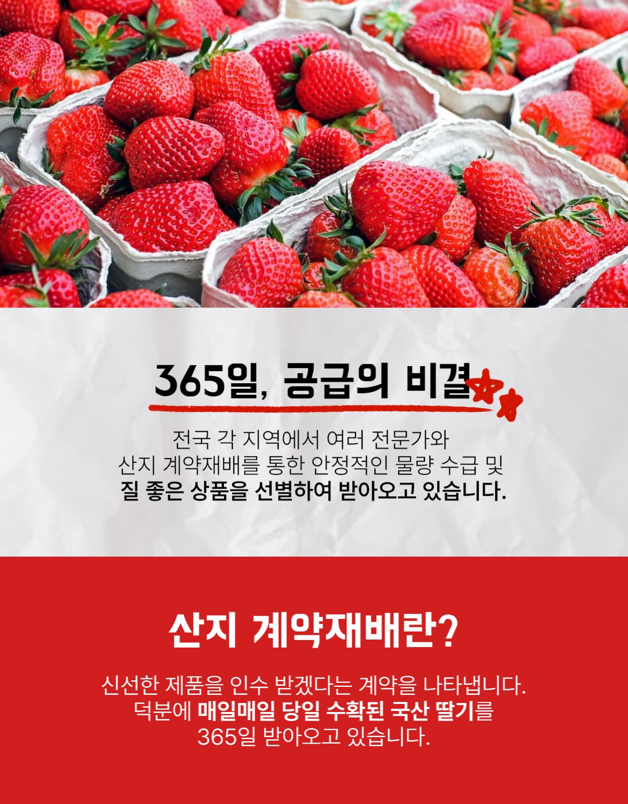 딸기 농산물 상세페이지