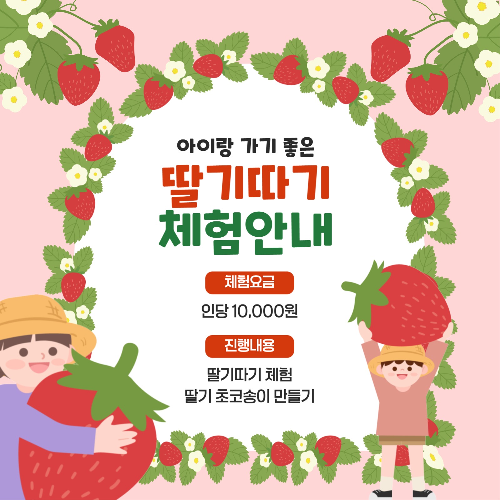딸기따기 체험안내