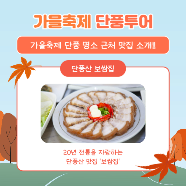 가을축제 단풍투어 (카드뉴스)